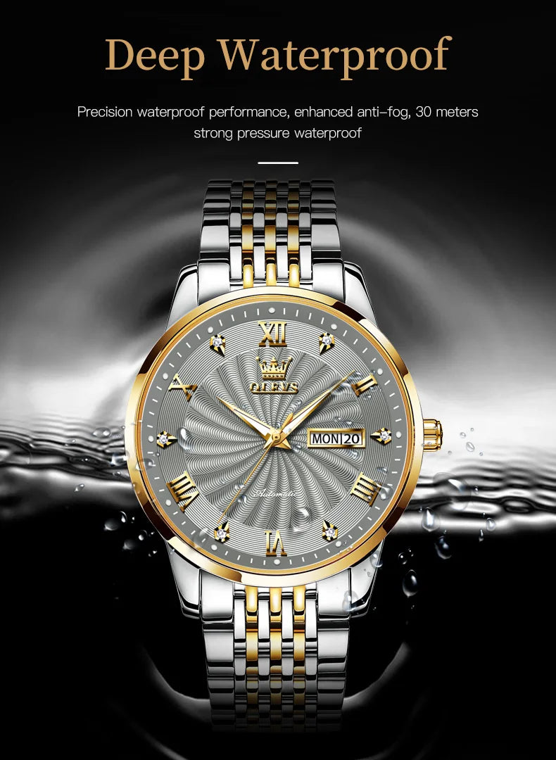 OLEVS Men Mechanical Watch Top Brand Luxury Automatic Watch Sport Stainless Steel Waterproof Watch Men relogio masculino