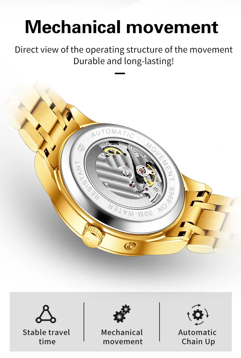 JSDUN Men's Watch Fashionable Business  Automatic Mechanical Watch Waterproof Luminous Moon Phase Watch Luxury Brand Men Watch