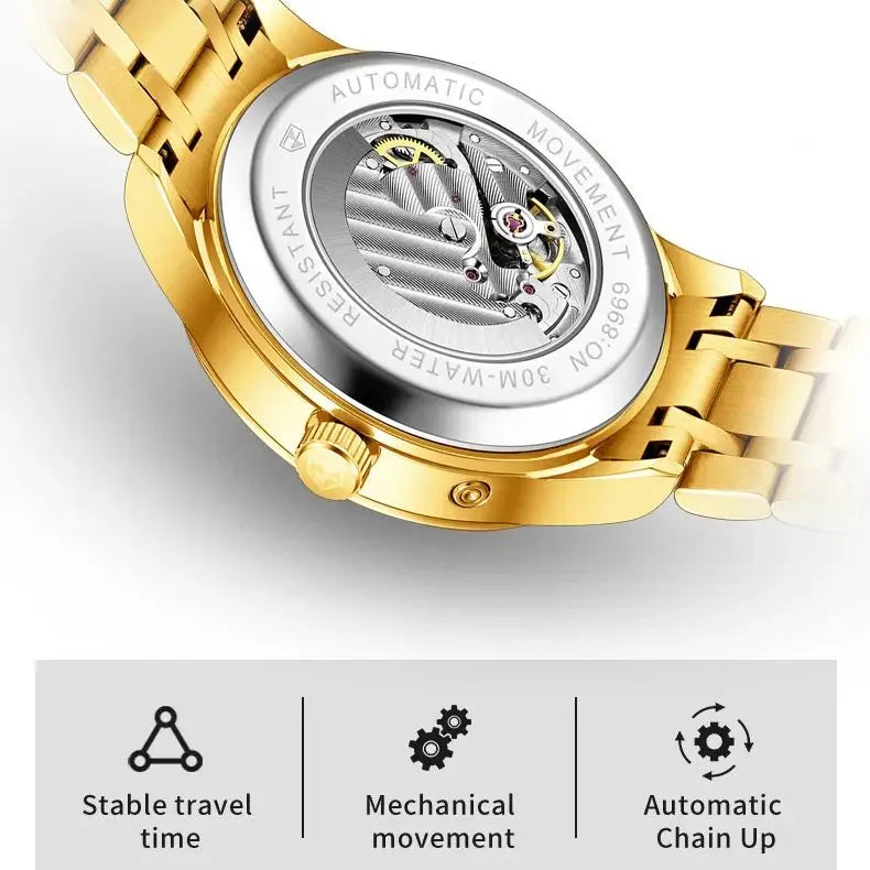 JSDUN Men's Watch Fashionable Business  Automatic Mechanical Watch Waterproof Luminous Moon Phase Watch Luxury Brand Men Watch